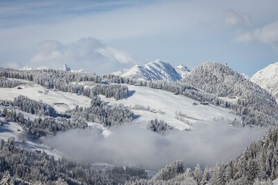 Blick auf eine verschneite Winterlandschaft im Alpbachtal mit weißen Bergen und Bäumen. | © Alpbachtal Tourismus | shootandstyle
