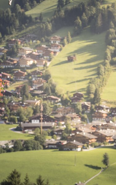 Ausblick auf Alpbach, im Vordergrund ein Holzbalkon mit wunderschönen Blumen  | © Alpbachtal Tourismus | shootandstyle 