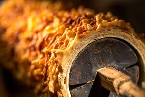 Man sieht einen Ausschnitt einer gut durchgebackene Prügeltorte die noch auf dem Prügel ist. | © Alpbachtal Tourismus | Linda Mader