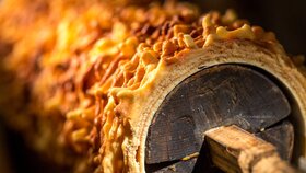 Man sieht einen Ausschnitt einer gut durchgebackene Prügeltorte die noch auf dem Prügel ist. | © Alpbachtal Tourismus | Linda Mader