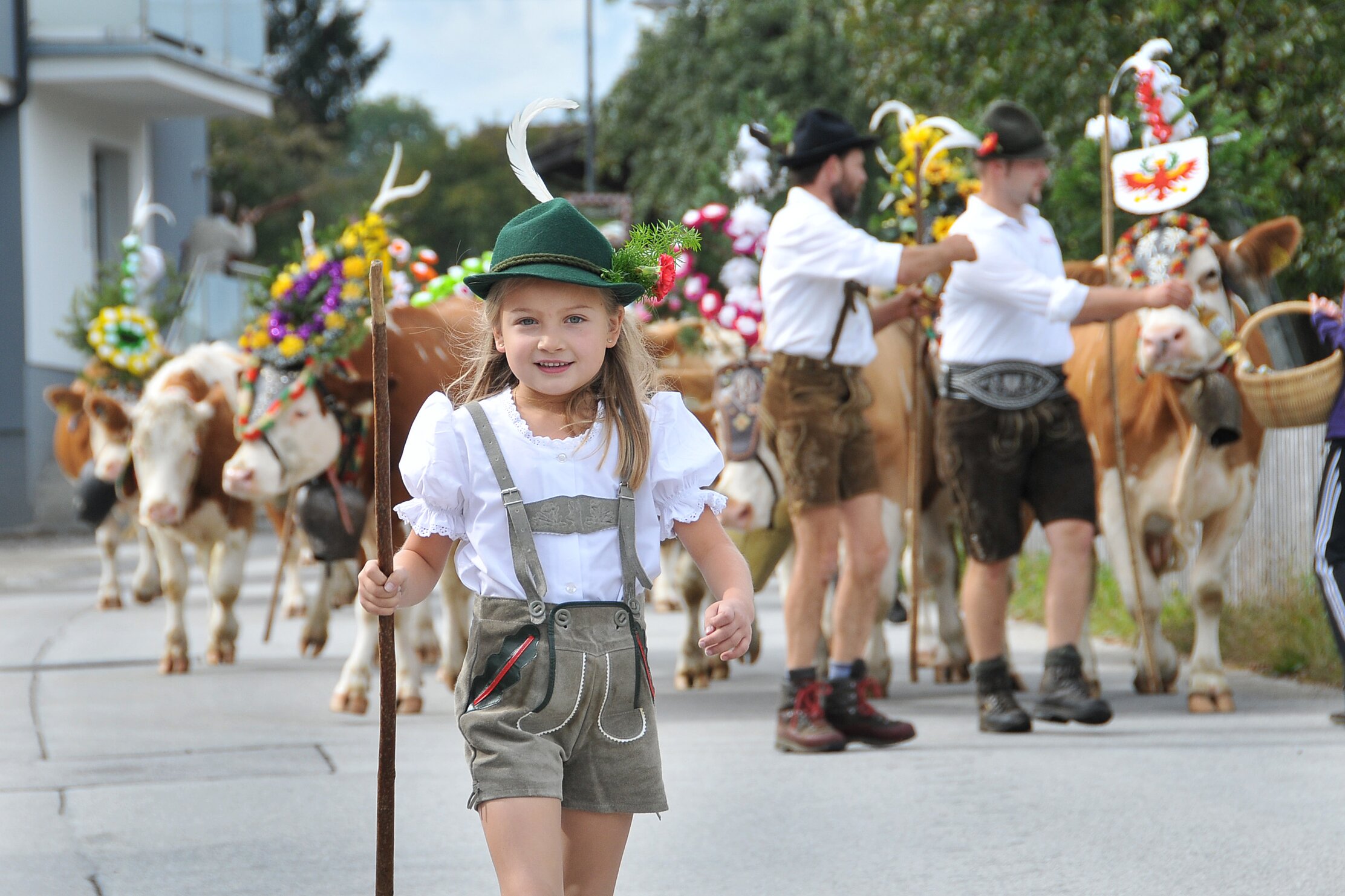 Descente des alpages à Reith im Alpbachtal Tyrol | Alpbachtal Tourismus