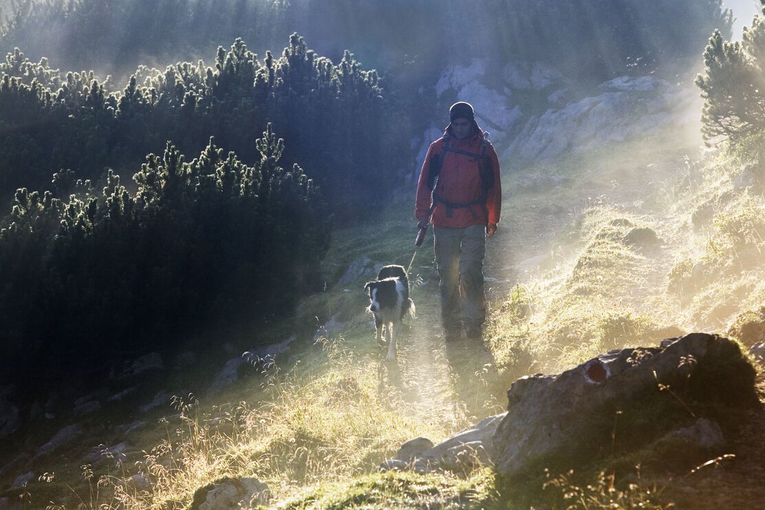 Ein Mann wandert mit seinem Hund gemeinsam durch das Rofangebirge  | © Alpbachtal Tourismus | C. Vorhofer 