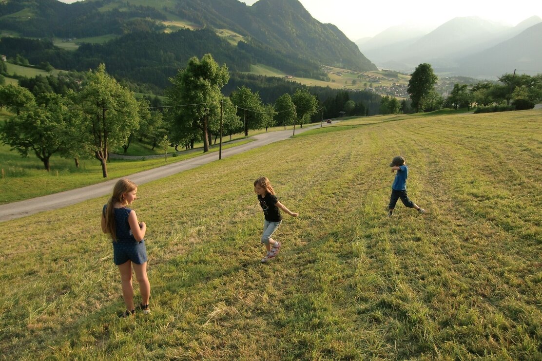 Kinder im Feld am Pinzgerhof | © Pinzgerhof