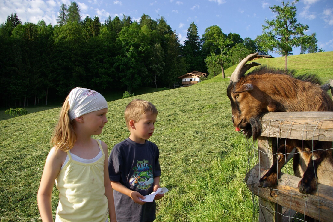 Kinder beim Ziegenfüttern am Pinzgerhof | © Pinzgerhof