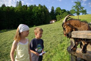 Kinder beim Ziegenfüttern am Pinzgerhof | © Alpengasthof Pinzgerhof