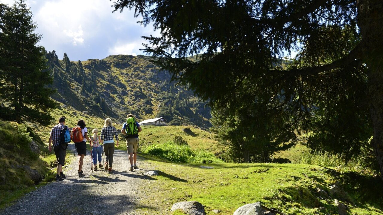 Almenwanderung Inneralpbach (geführt) | Alpbachtal