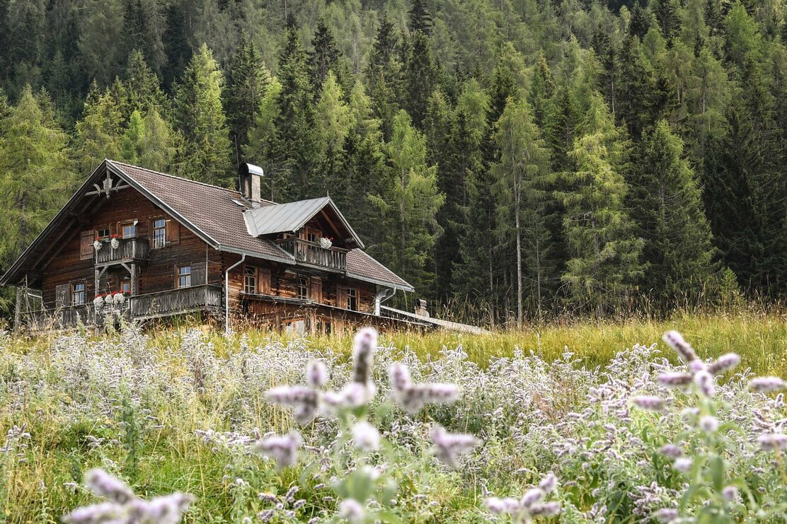 Almgelände Holzalm | © Gabriele Grießenböck