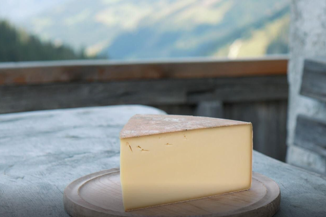 Käse aus der Almkäserei Steinbergalm | © shootandstyle