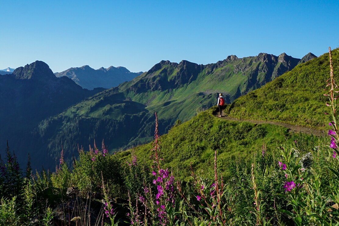Panorama trail Wiedersberger Horn