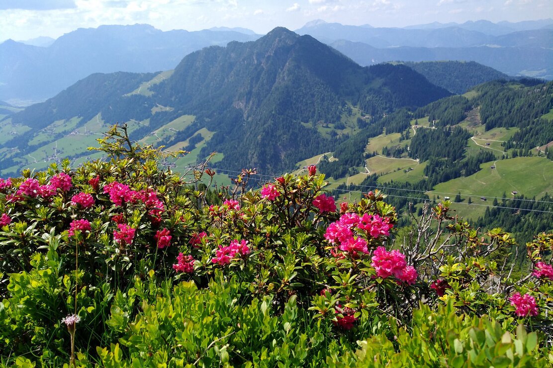 Blick vom Schatzberg zum Gratlspitz