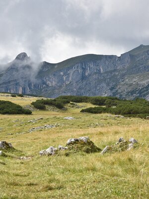 Roßwies - View of the Sagzahn and the Rofanspitze