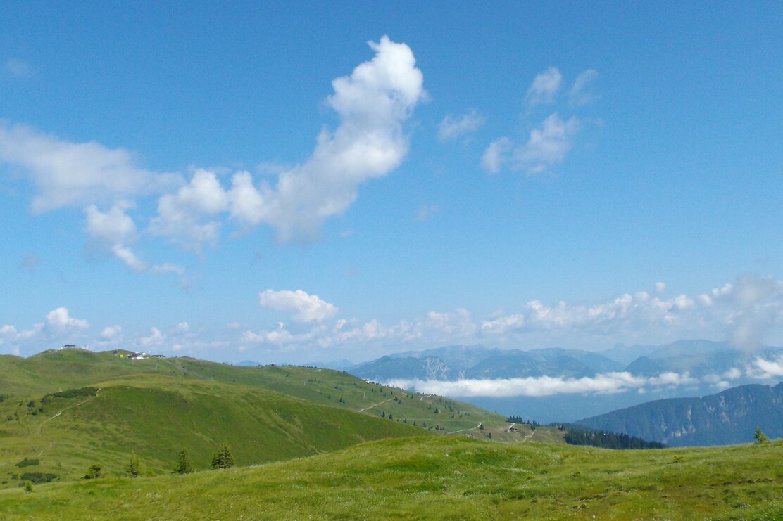 Gernalm Alpbach on the Schatzberg | © Michael Mairhofer