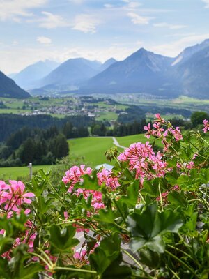 Ausblick vom Pinzgerhof Reith i.A.