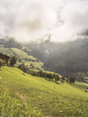 Alpbach Blick auf Erbhof