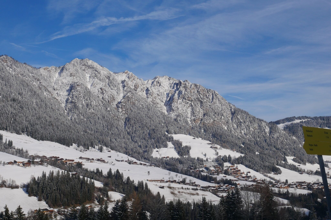 Neader - Blick auf Alpbach