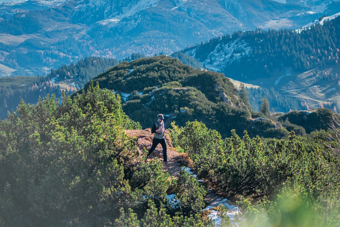 Trailrunner Latschen Gratlspitze | © Petra Cosentino
