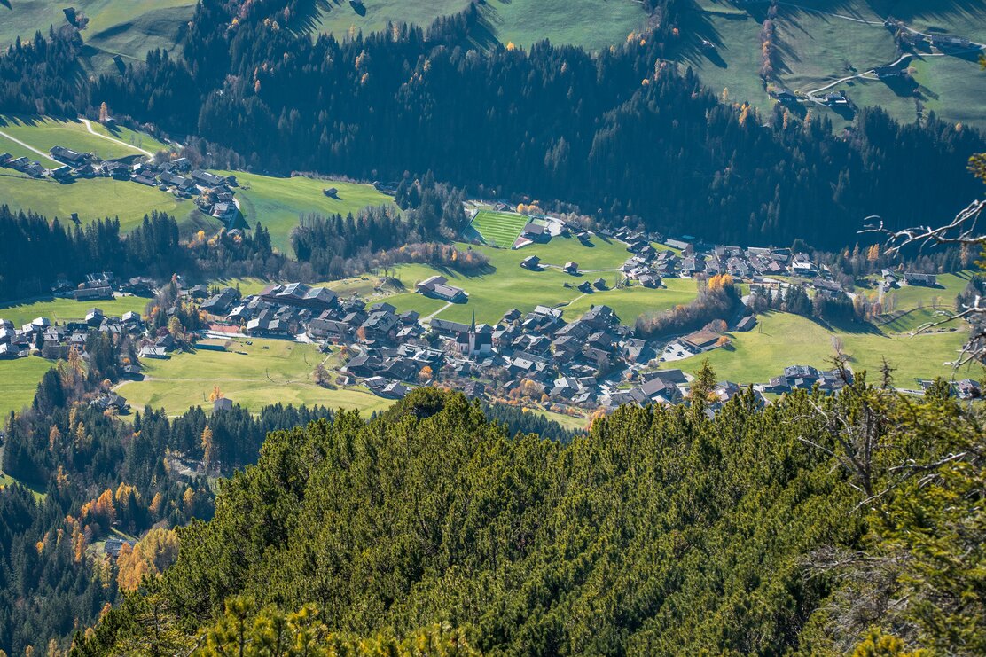 Ausblick Gratlspitze Latschen Trailrunning