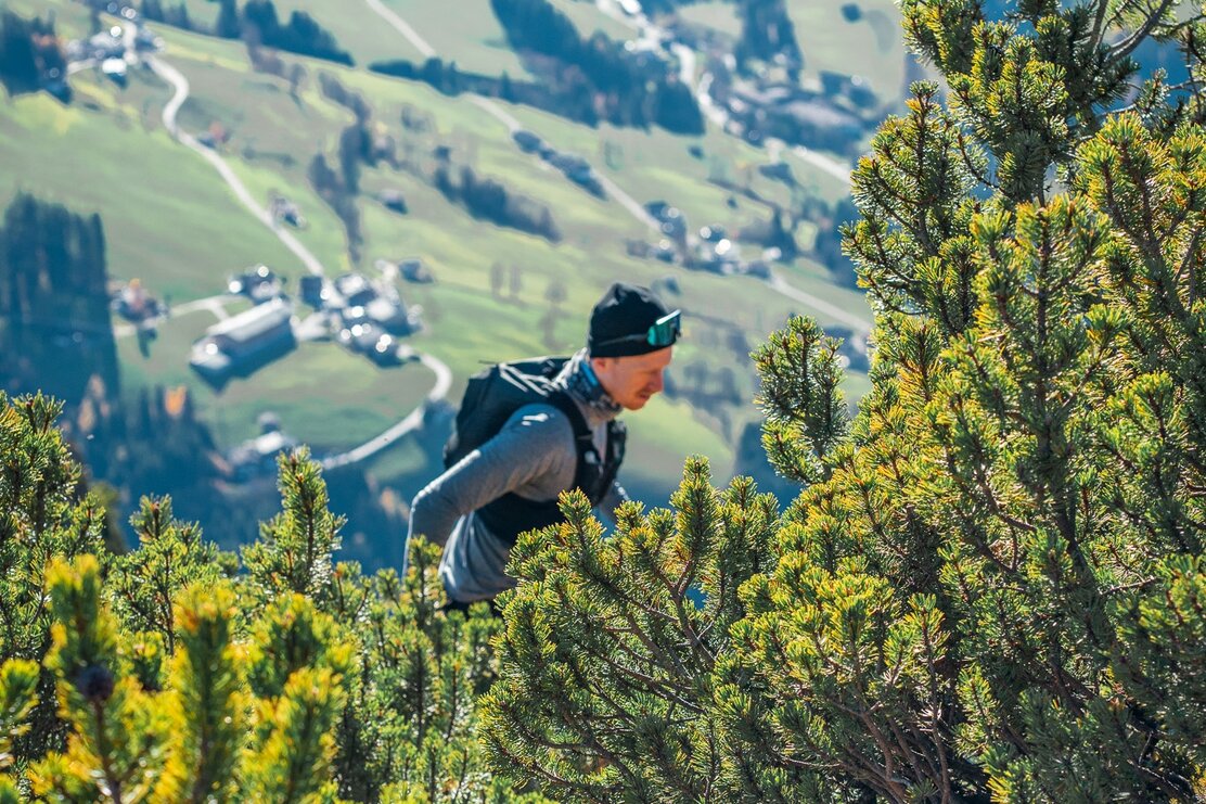 Trailrunner Latschen Gratlspitze