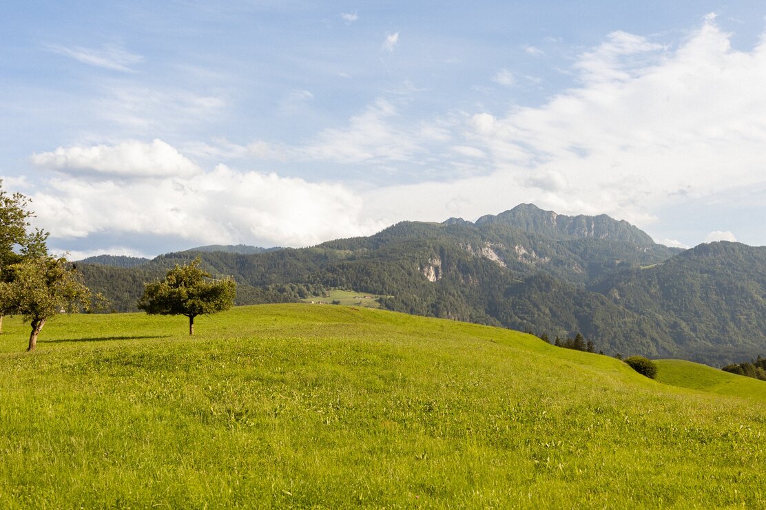Aussicht Bichlrunde Breitenbach | © Julia Springhetti