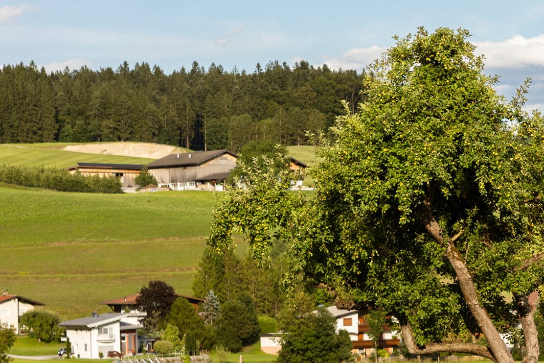Butterbichlrunde Breitenbach | © Julia Springhetti