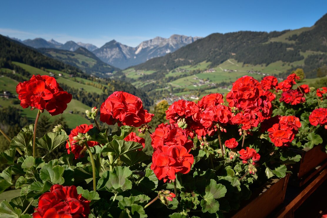 e-Bike Gauditour Alpbachtal - Wurmhof