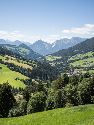 Blick auf Alpbach | © Velontour