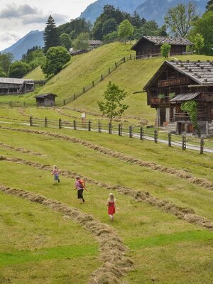 Grünfläche im Museum Tiroler Bauernhöfe