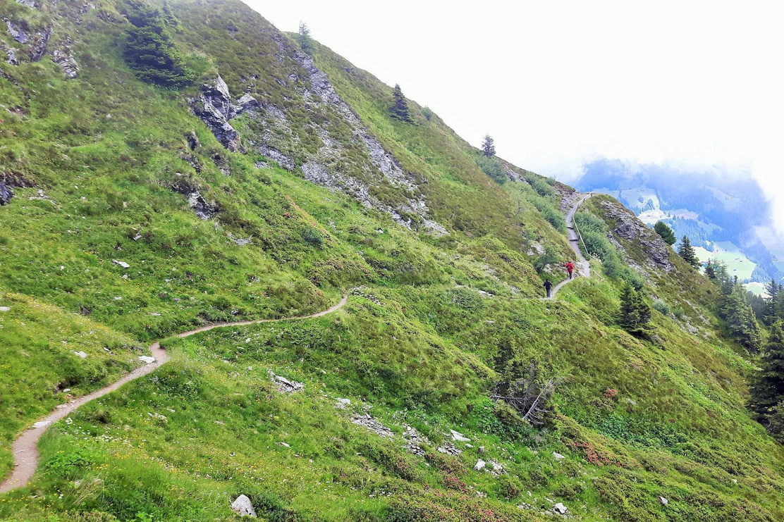 Panoramaweg Wiedersberger Horn Alpbach