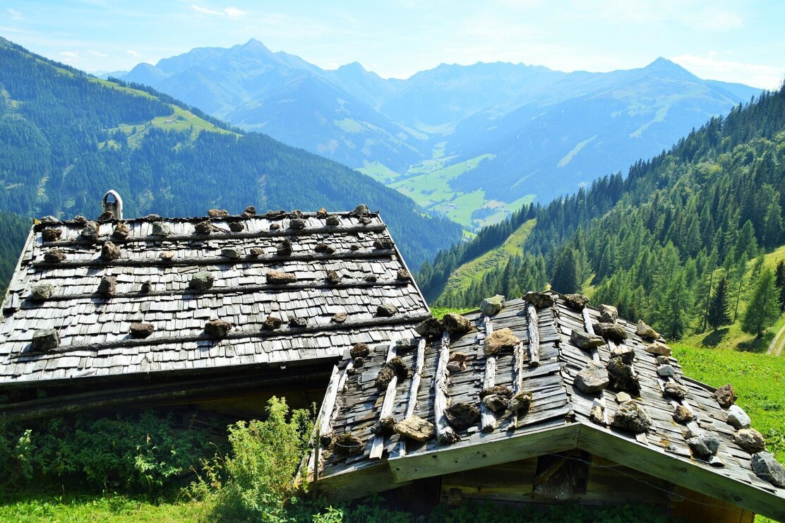 Halsbergalm Alpbach