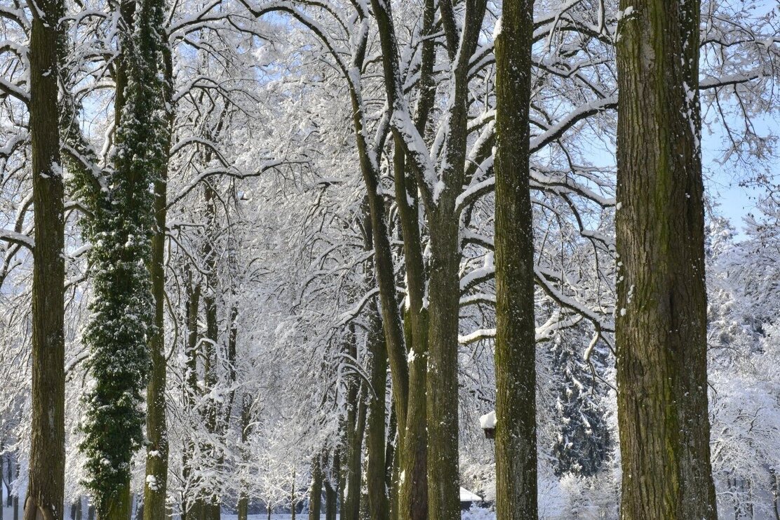 Winterwandern im Matzenpark Burgenwanderweg | © Bernhard Berger