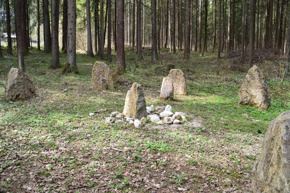 Münster Wald mit Steinkreis