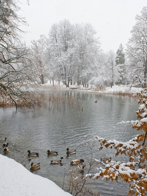 Matzenpark im Winter | © Bernhard Berger