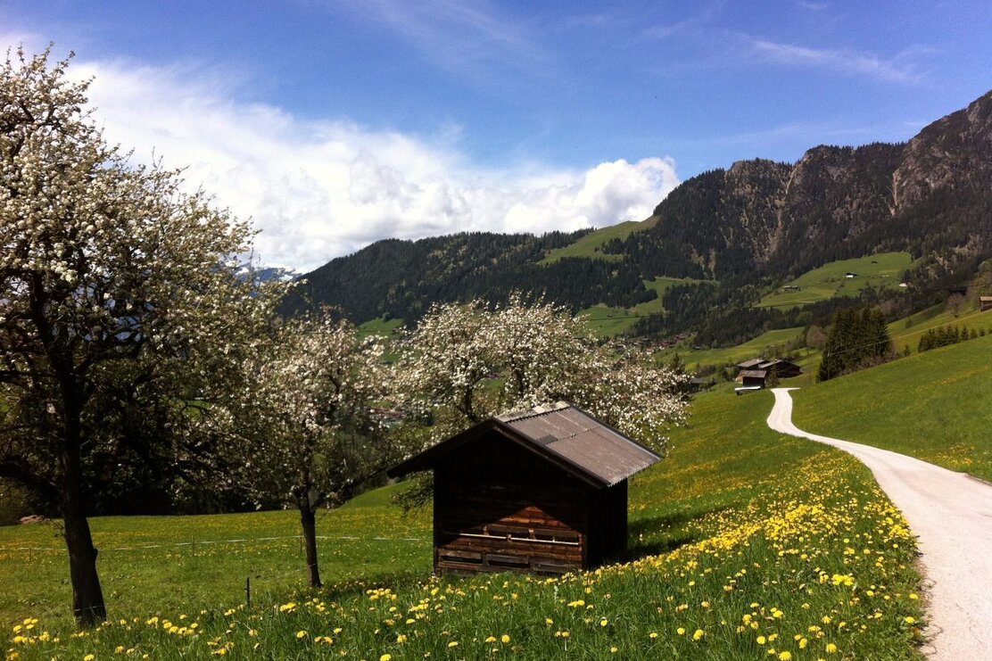 Mittlerer Höhenweg Alpbach.JPG