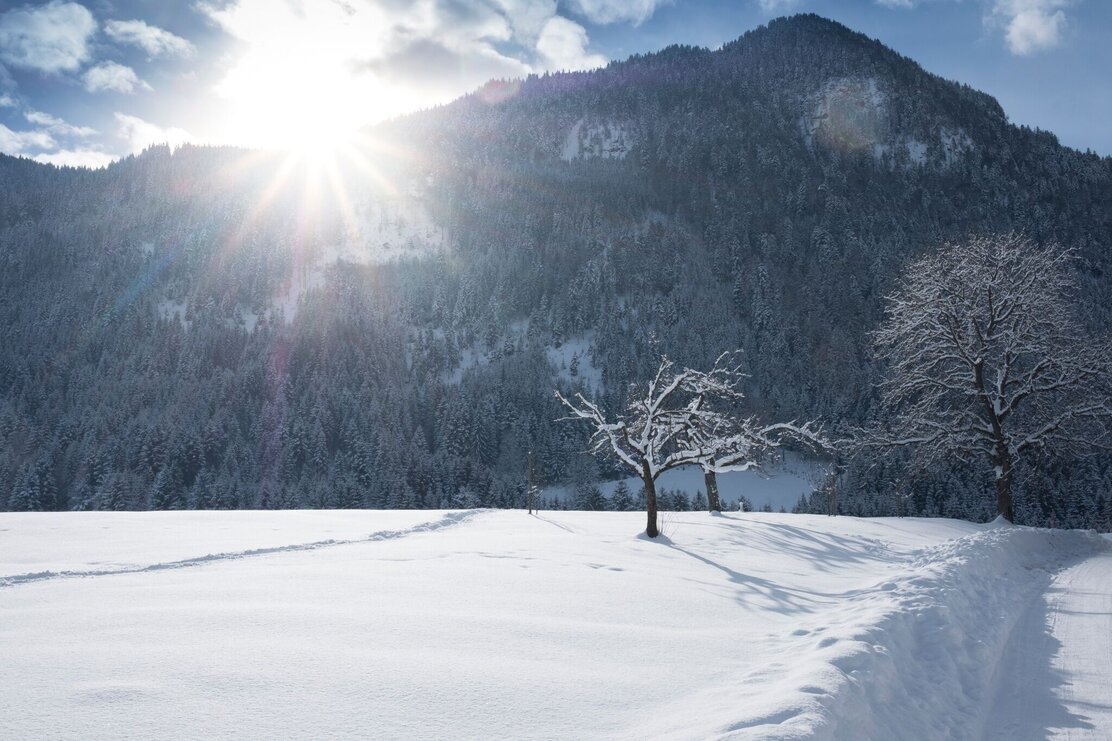 Winterwandern in Reith i.A. | © Matthias Sedlak