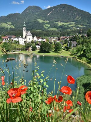 Reither See