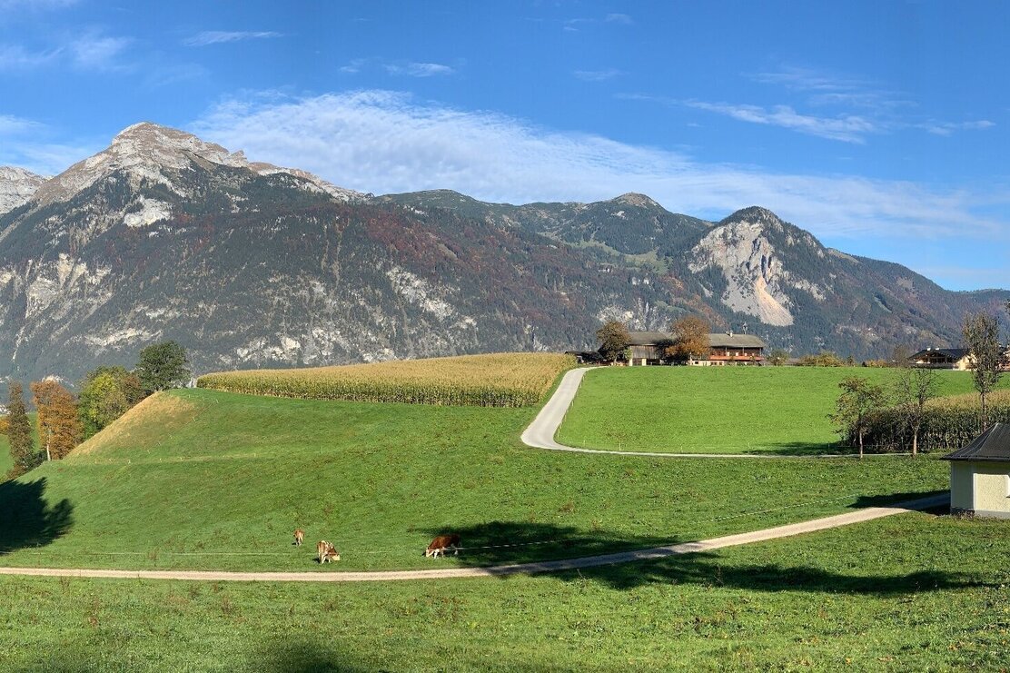 Panoramaweg Reith im Alpbachtal