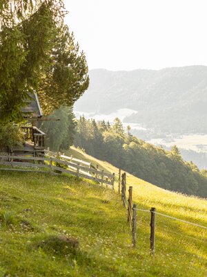 Almengebiet Brandenberg Richtung Zireiner See | © Julia Springhetti