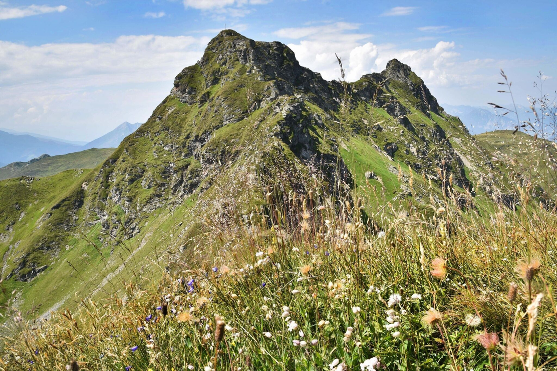 Sagtaler Spitzen Panorama Wiesenblumen | © Gabriele Grießenböck