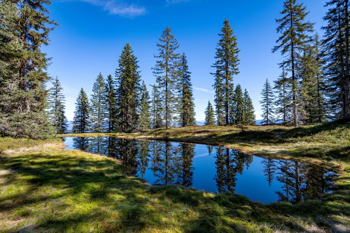 Wildschönau Wildschönauer Höhenweg | © Wildschönau Tourismus H. Dabernig