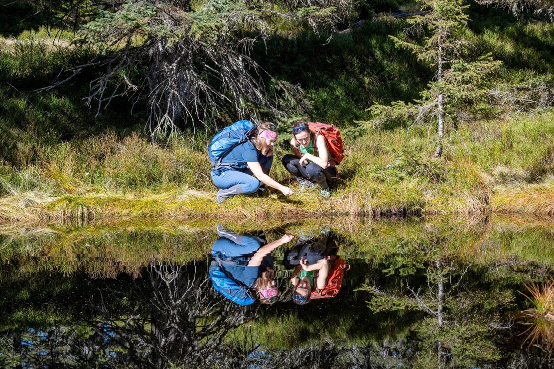 Wildschönau Wildschönauer Höhenweg | © Wildschönau Tourismus H. Dabernig