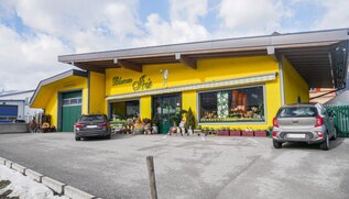 Blumen Iris Winter | © Alpbachtal Tourismus