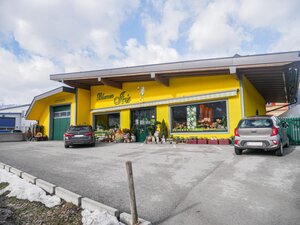 Blumen Iris Winter | © Alpbachtal Tourismus