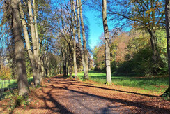 Steffi_Alpbachtal_Brixlegg_Herbst