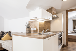 apartments-43-reith-im-alpbachtal-apartment-60-bal