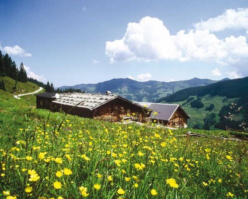 Almen | © Alpbachtal Tourismus