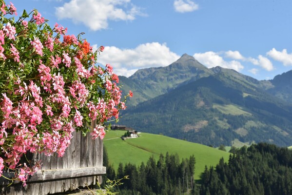 Blumen | © Alpbachtal Tourismus