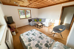 Living room with a pull-out sofa and a Smart TV.