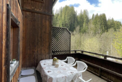 Alpapart Schneider_Alpachtal_Terrace