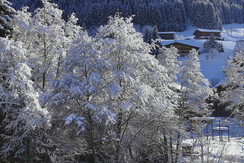 alpbachloft_alpbachtal_blickaufdieloipe