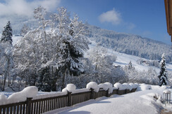 alpbachloft_alpbachtal_annasgartenimwinter